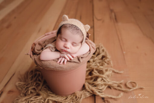 Bear Bonnet Newborn